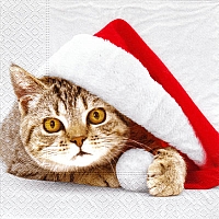 Napkins - Santa cat