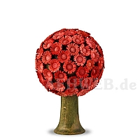 Bloom tree red
