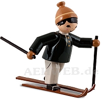 Cross-country skier skate skiing brown