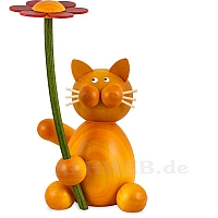 Cat Emmi with flower