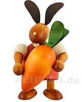 Bunny with carrot red