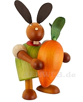 Bunny with carrot green