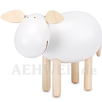 Sheep standing laughing white
