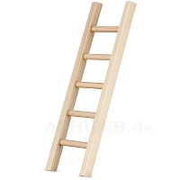 Ladder